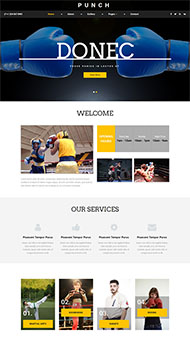 站立式格斗搏击网站模板