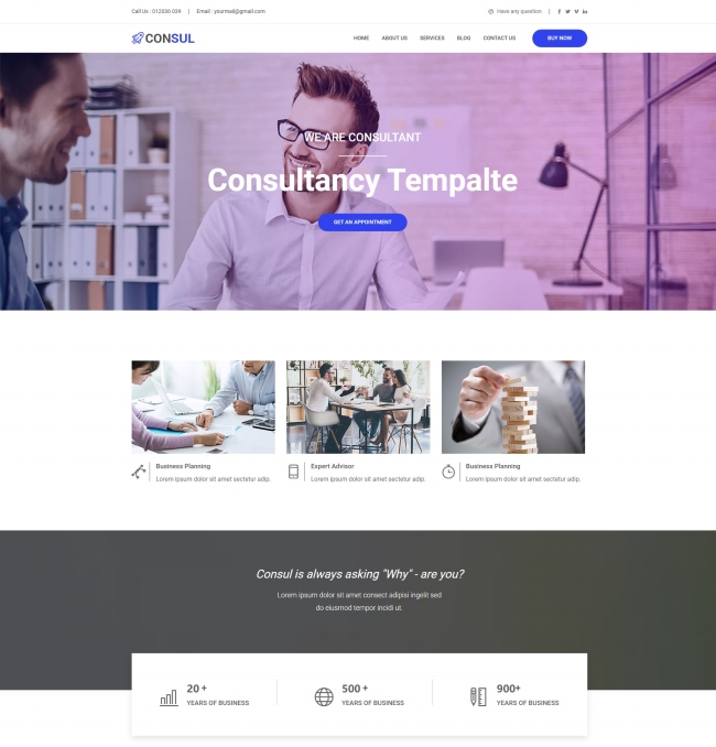商务计划咨询分析服务公司网站模板