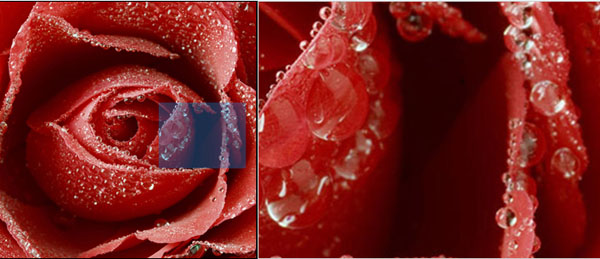 简单的jquery放大镜特效