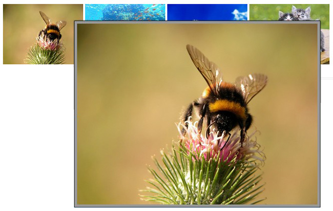 jQuery鼠标移到图片悬浮提示 jQuery鼠标移到图片