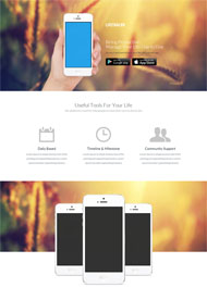 移动互联网公司网站模板
