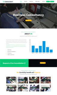 宽屏咨询公司网站模板