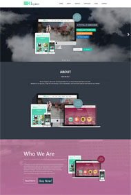 网站建设开发公司网站模板