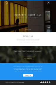 创意解决方案公司网站模板