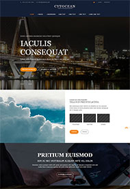 暗色风格企业官网网站模板