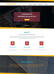 黄色线条简洁网站模板