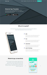 应用APP程序开发官网模板