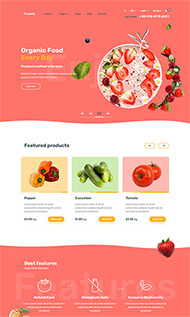 有机食品购物商城网站模板