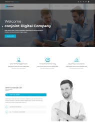 客户投资管理商业咨询服务网站模板