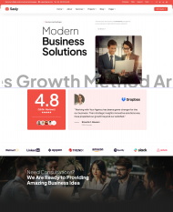  产品营销方案咨询服务公司网站模板 