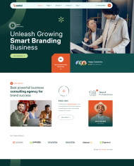  商业咨询服务机构宣传网站模板 