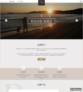 培训机构宠物狗粮企业公