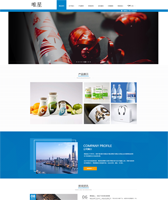 印刷包装公司网站模板