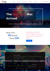 欢庆新年专题网页模板