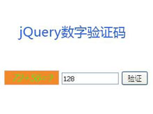 jQuery验证码随机数字运算代码
