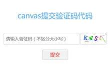 Canvas验证码输入提交代码