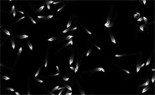 HTML5 Canvas小虫子游动特效