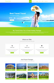 蓝色天空旅游业网站模板