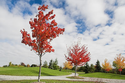 #10 caption goes here