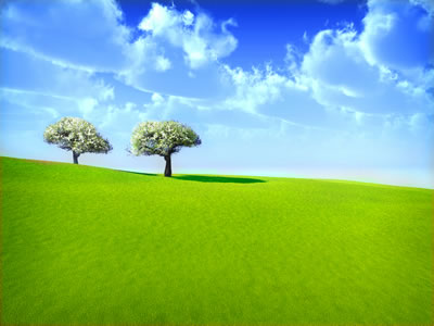 #2 caption goes here