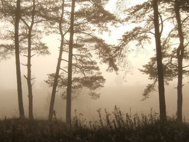 #3 caption goes here