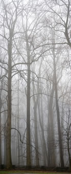 #6 caption goes here