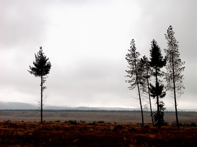 #7 caption goes here