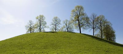 #8 caption goes here