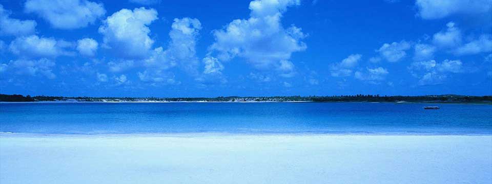 网页吧素材 wangyeba.net