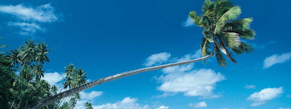 网页吧素材 wangyeba.net