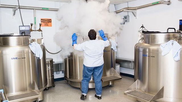 美国自然历史博物馆幕后鲜为人知的工作- wangyeba.net