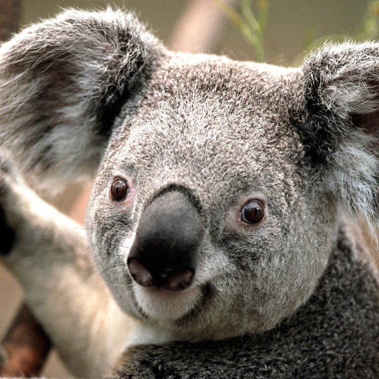 ���ϴ�ͷ��