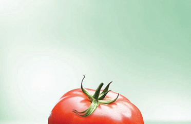 ȫ��������Ů�����������¯ ��ʿ���