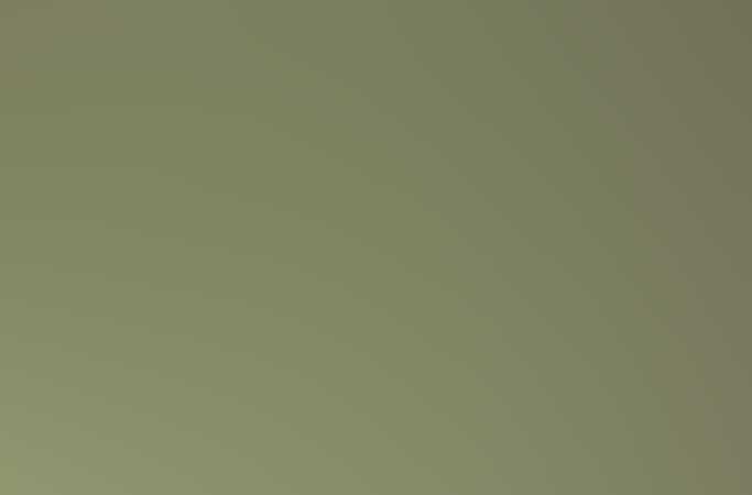 Free Template by www.wangyeba.net