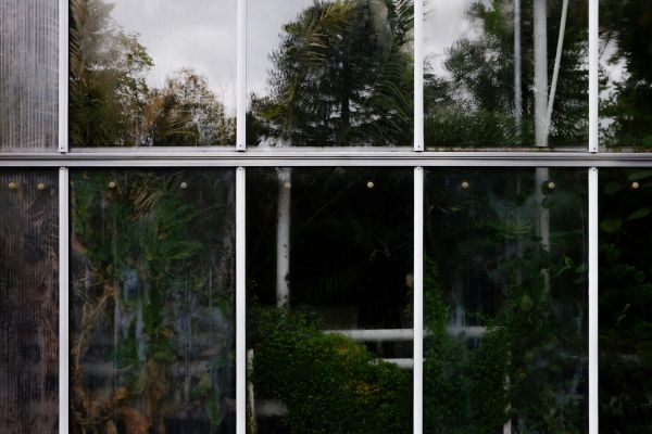 Glass Pane Repairs