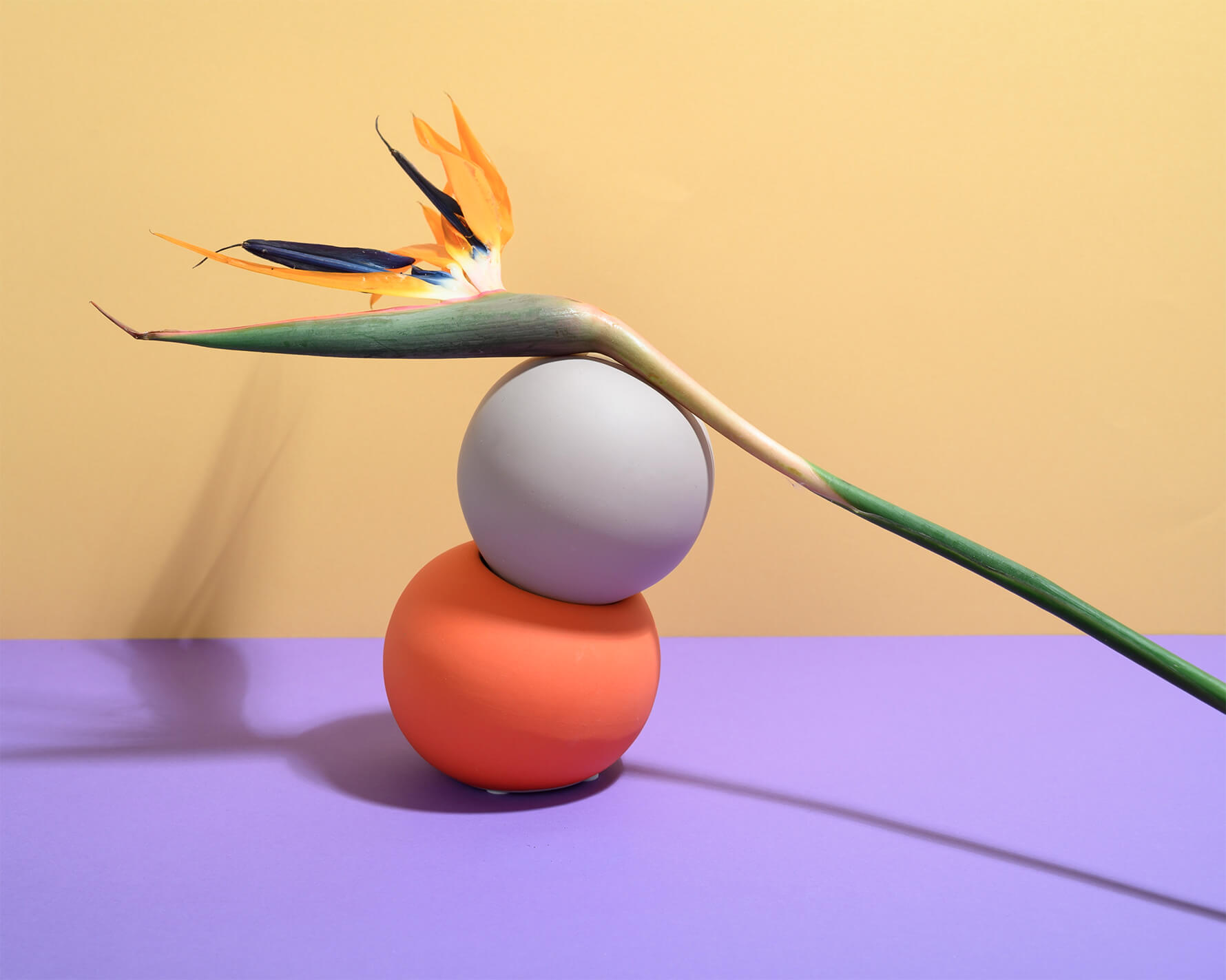 Photo of the balancing objects