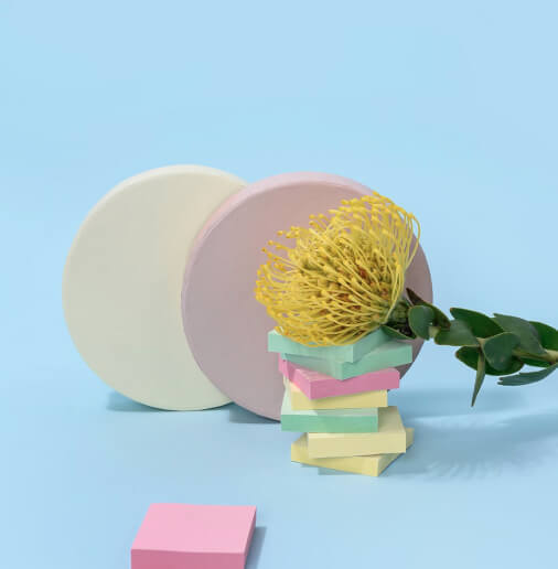 Photo of a plant with objects of different shapes